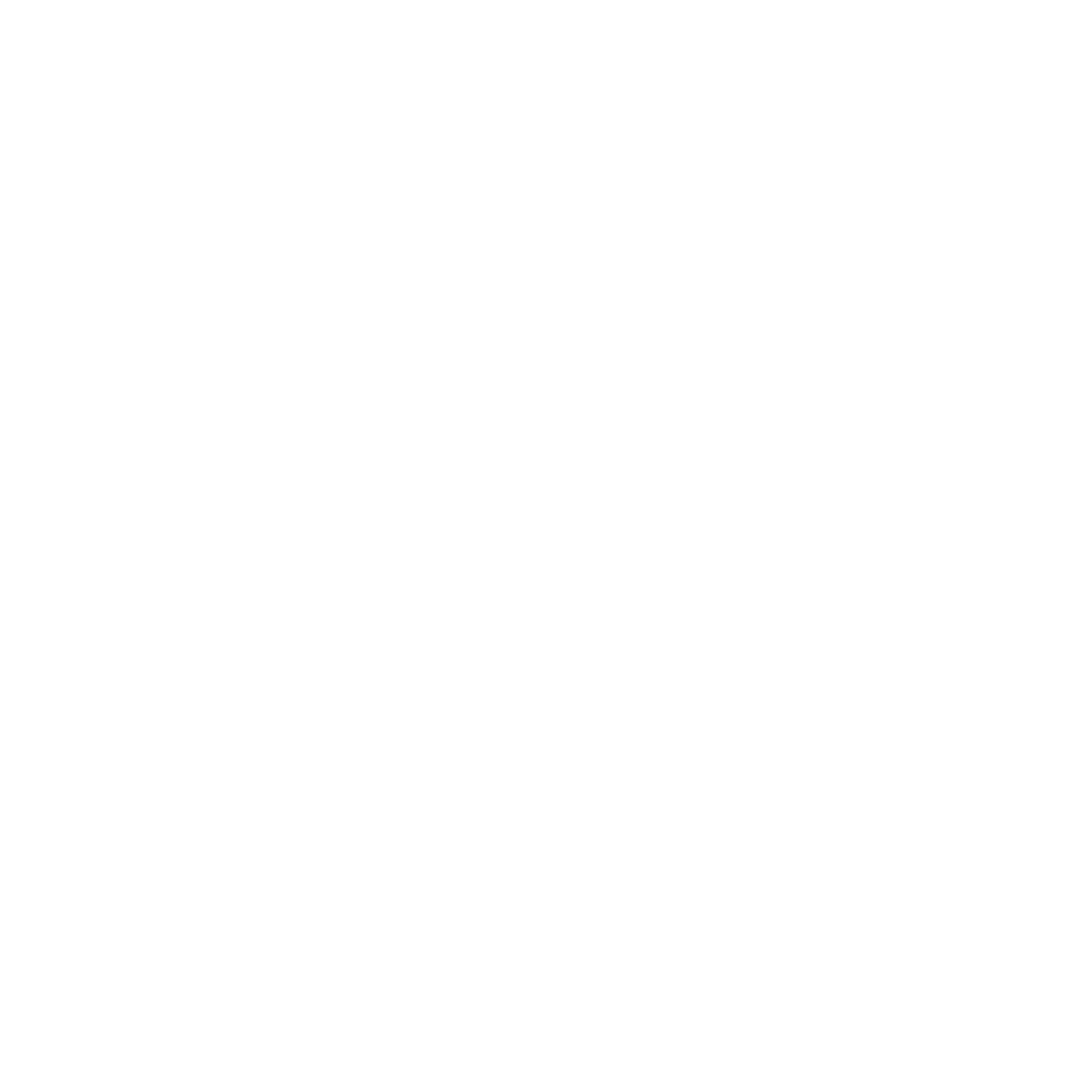 Logo White